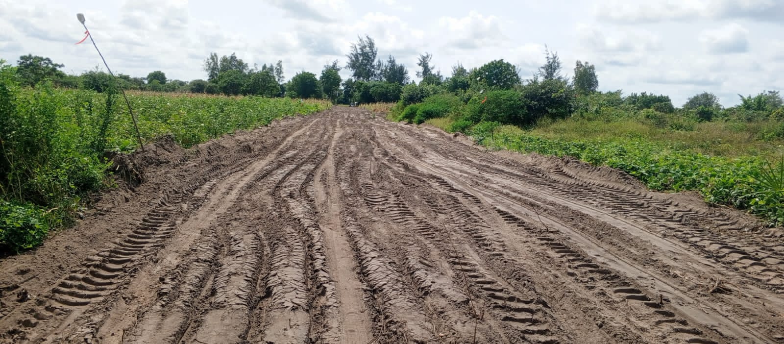 Lamu Plots Access Road