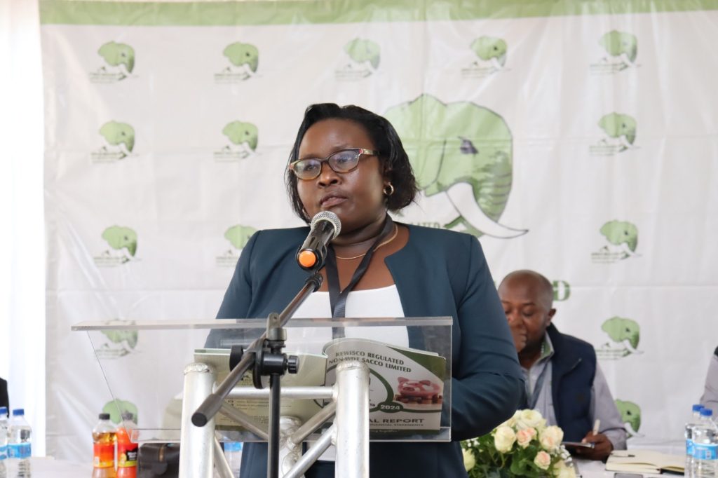 Chairperson's Report 2025